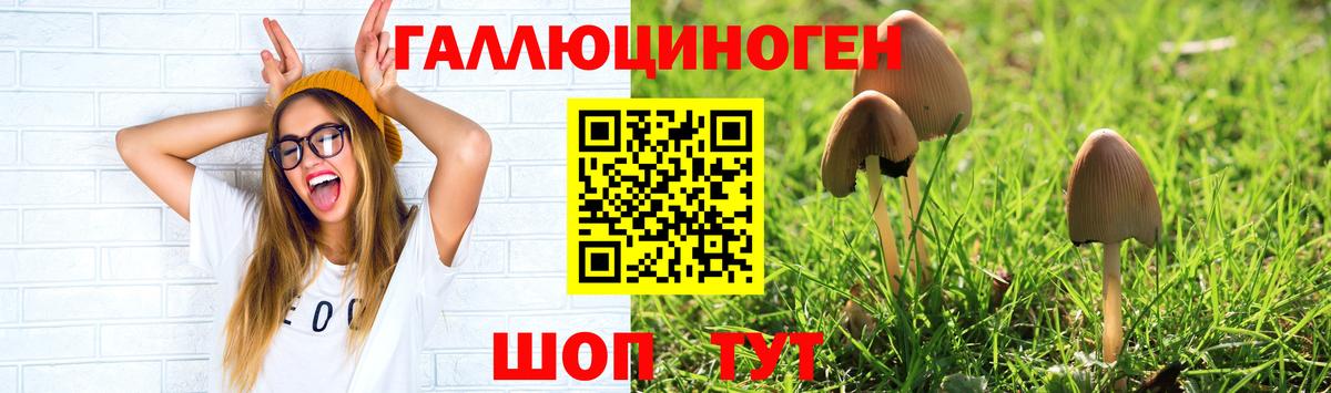 Псилоцибиновые грибы Cubensis  Вход с VPN  Сарапул  Псилоцибиновые грибы прущие грибы 
